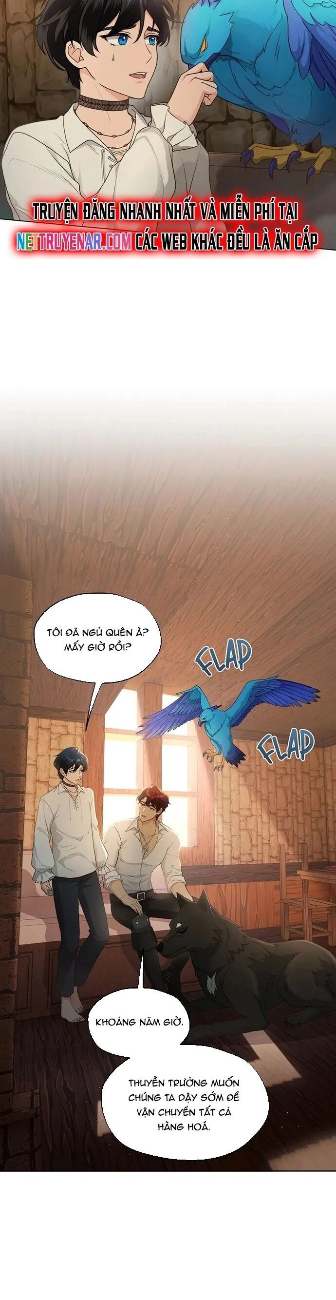 Hải Âu & Sói Hoang Chương 45 Ảnh 9