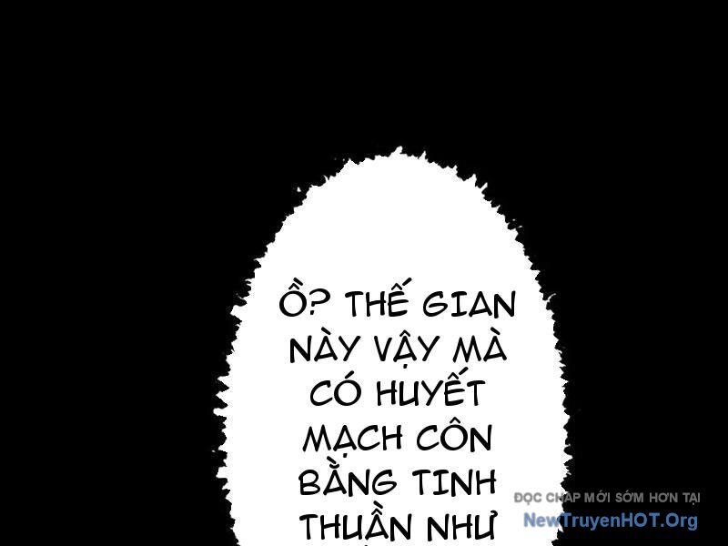 Gặp Mạnh Thì Càng Mạnh, Tu Vi Của Ta Không Giới Hạn Chương 71 Ảnh 26