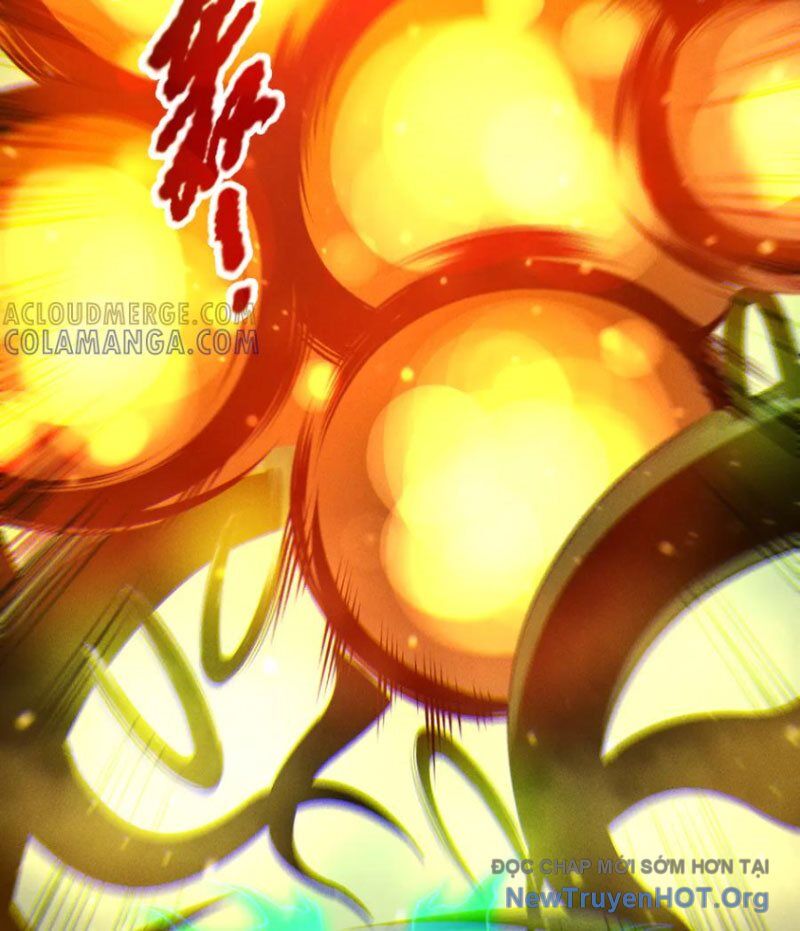 Thảm Họa Tử Linh Sư Chương 208 Ảnh 71