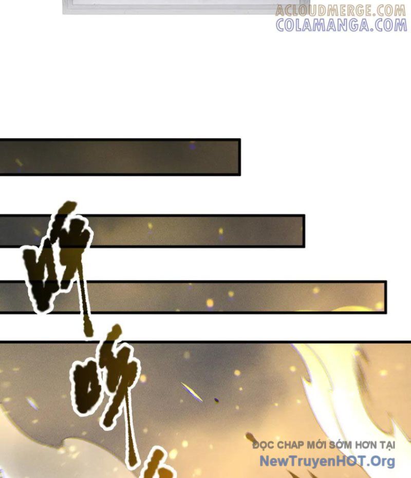Thảm Họa Tử Linh Sư Chương 208 Ảnh 74