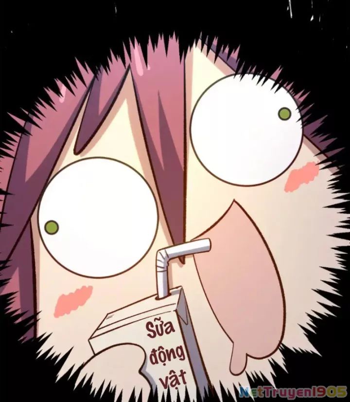 Đỉnh Cấp Khí Vận, Lặng Lẽ Tu Luyện Ngàn Năm Chương 271 Ảnh 75