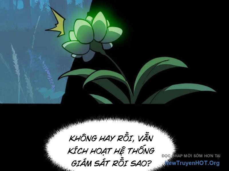 Sau Khi Chia Tay Hoa Khôi, Võ Đạo Của Ta Thẳng Tới Cấp Thần Chương 15 Ảnh 35