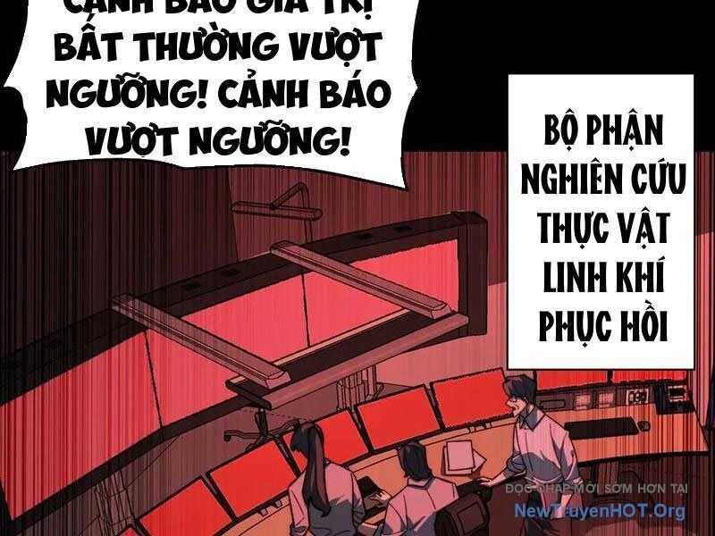 Sau Khi Chia Tay Hoa Khôi, Võ Đạo Của Ta Thẳng Tới Cấp Thần Chương 15 Ảnh 39
