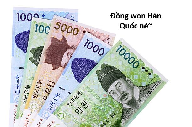 Hổ Đến Chơi Nhà (Puchimasu Miếu) Chương 159 Ảnh 16