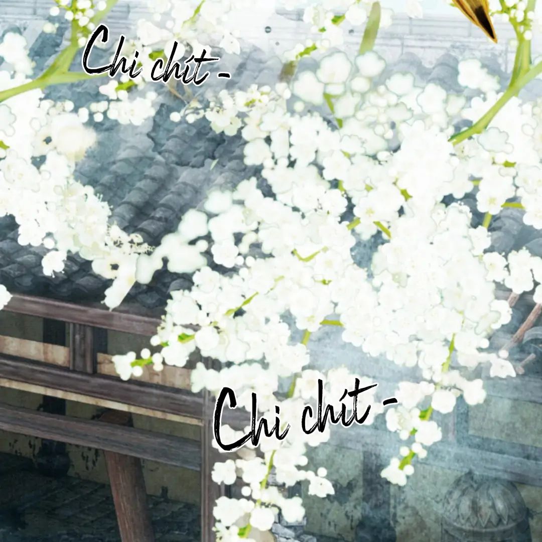 Nhập Hải Chương 5 Ảnh 3