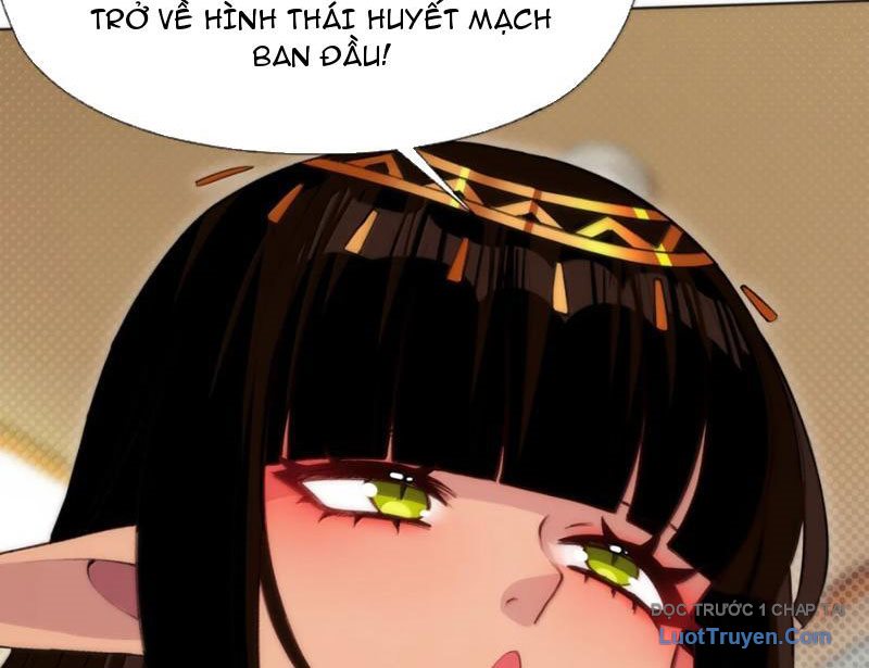 Xong Rồi, Ta Bị Sủng Thú Của Mình Bao Vây Rồi! Chương 24 Ảnh 54
