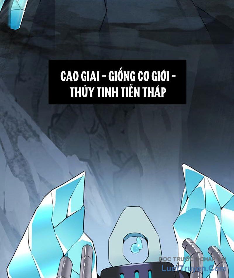Xong Rồi, Ta Bị Sủng Thú Của Mình Bao Vây Rồi! Chương 13 Ảnh 58
