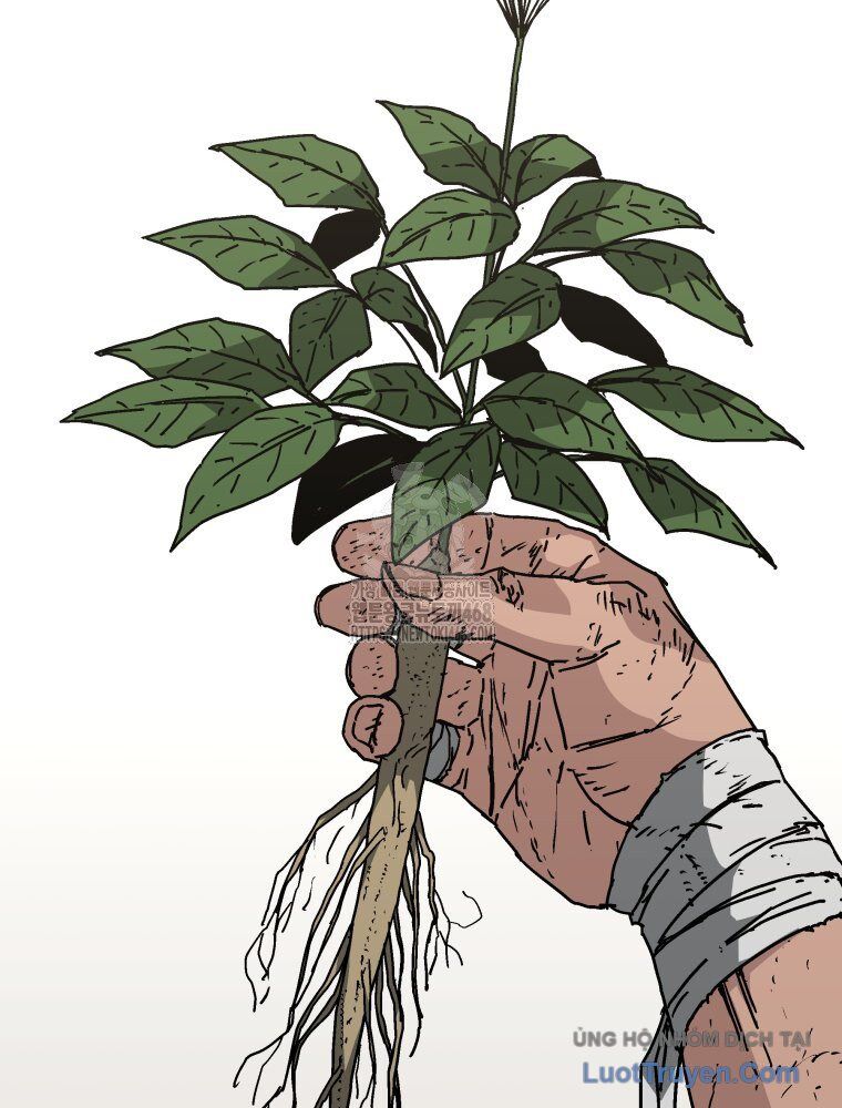 Quân Lâm Thiên Hạ 2 Chương 3 Ảnh 64