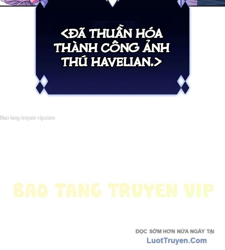 Người Chơi Mới Cấp Tối Đa Chương 225 Ảnh 167