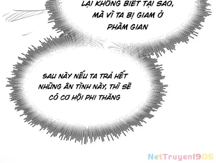 Đỉnh Cấp Khí Vận, Lặng Lẽ Tu Luyện Ngàn Năm Chương 276 Ảnh 144