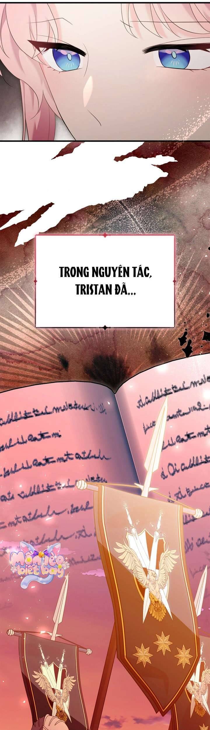 Tuy Là Hoàng Hậu, Nhưng Tôi Muốn Né Hoàng Đế Chương 82 Ảnh 46